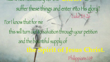 Holy Spirit supply