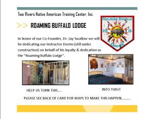 roaming buffalo post card