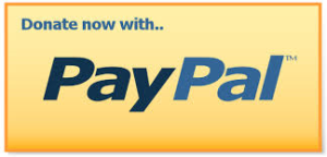 paypal