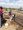 Africa Community Development projects – God@Work
