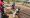 Africa Community Development projects – God@Work