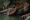 Leadership in the River…