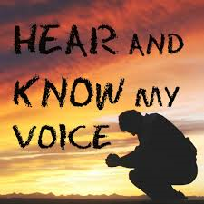 voice