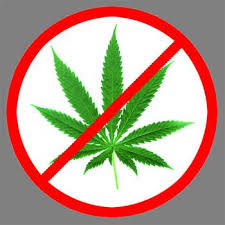 no marijuana