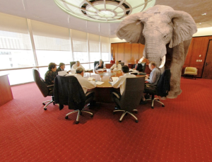 elephant in room