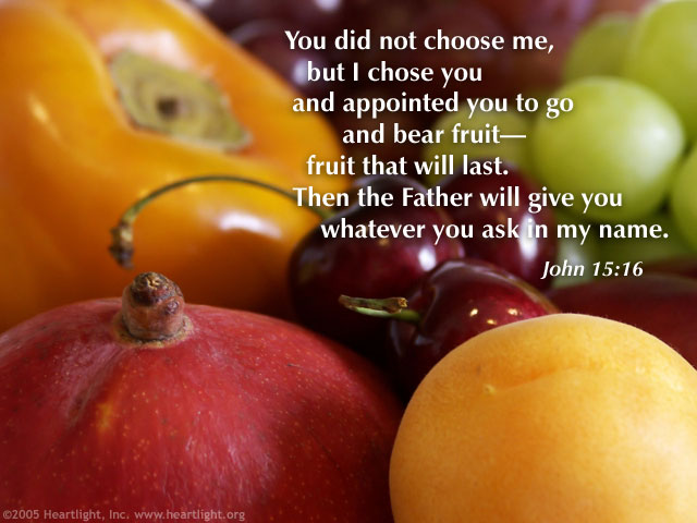 appointed