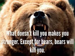 bear stronger