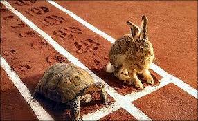 tortois and hare
