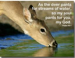 deer pants