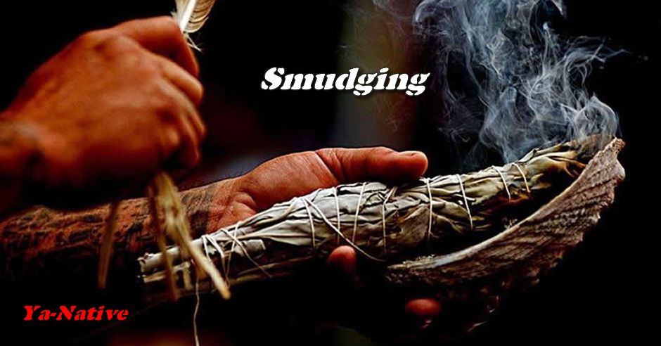 can you sell tobacco on amazon CAO - Amazon Basin - Toro - Single Cigar