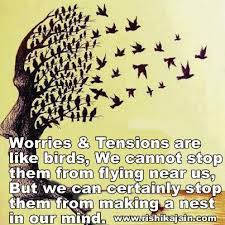 worries-birds
