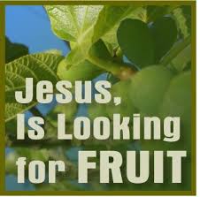 Jesus looking for fruit