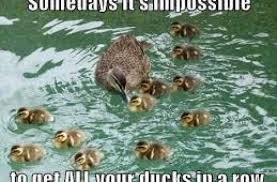 ducks-impossible